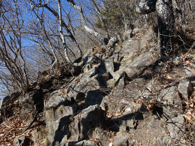 茅ヶ岳（深田記念公園～女岩コース） 登山口コースガイド 急登【登山口ナビ】
