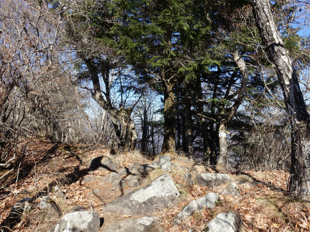 茅ヶ岳（深田記念公園～女岩コース） 登山口コースガイド 観音峠分岐【登山口ナビ】