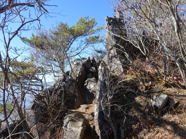 茅ヶ岳（深田記念公園～女岩コース） 登山口コースガイド 金ヶ岳南峰【登山口ナビ】