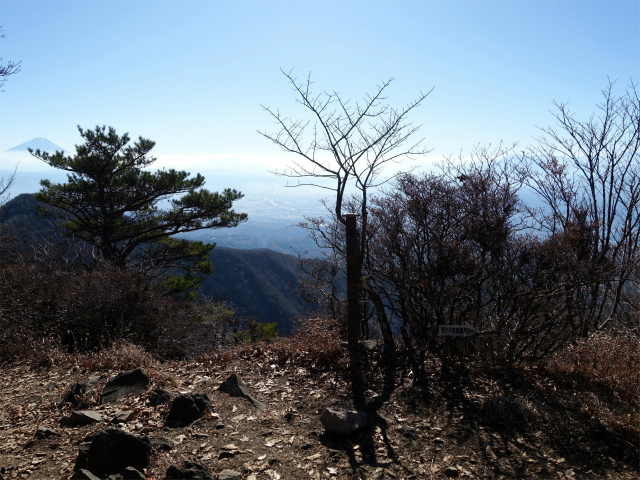 茅ヶ岳（深田記念公園～女岩コース） 登山口コースガイド 金ヶ岳北峰山頂【登山口ナビ】