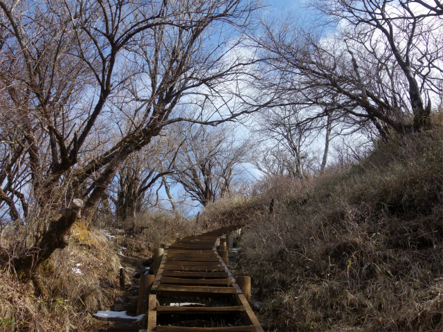 塔ノ岳（大倉尾根コース） 登山口コースガイド 山頂手前の階段【登山口ナビ】