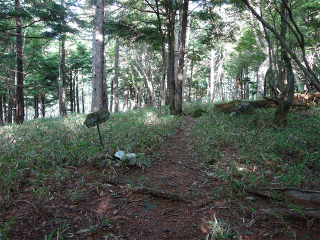 八ヶ岳・赤岳（防火線の頭～県界尾根） 登山口コースガイド 防火線の頭【登山口ナビ】