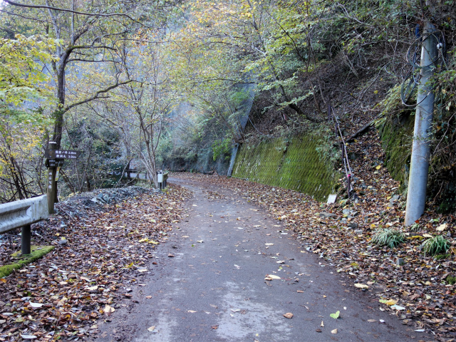 蛭ヶ岳（日陰沢橋～姫次）登山口コースガイド ヤタ尾根登山口【登山口ナビ】