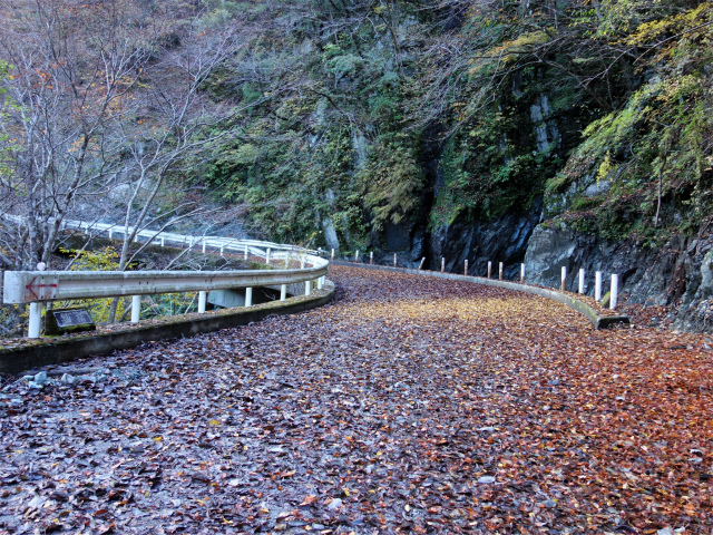 蛭ヶ岳（源蔵尾根～臼ヶ岳）登山口コースガイド 神の川林道ダート区間【登山口ナビ】