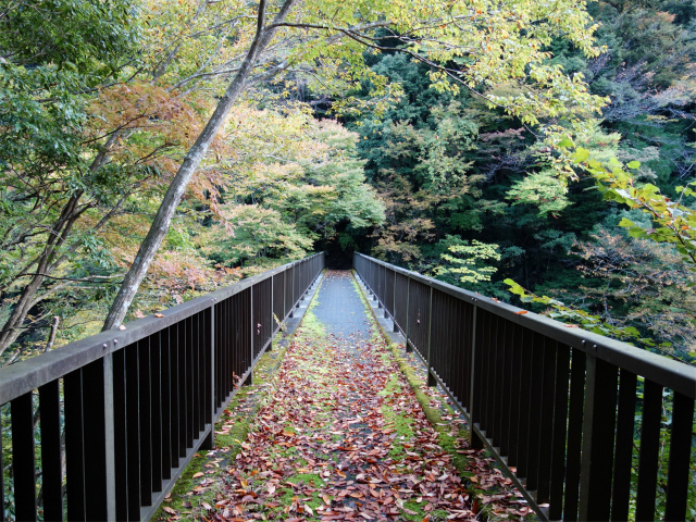 蛭ヶ岳（日陰沢橋～姫次）登山口コースガイド 神ノ川の橋【登山口ナビ】