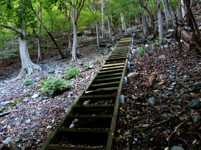 蛭ヶ岳（日陰沢橋～姫次）登山口コースガイド 階段【登山口ナビ】