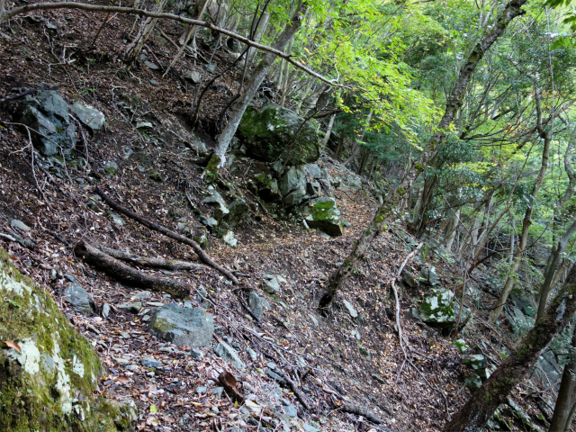 蛭ヶ岳（日陰沢橋～姫次）登山口コースガイド 急登【登山口ナビ】