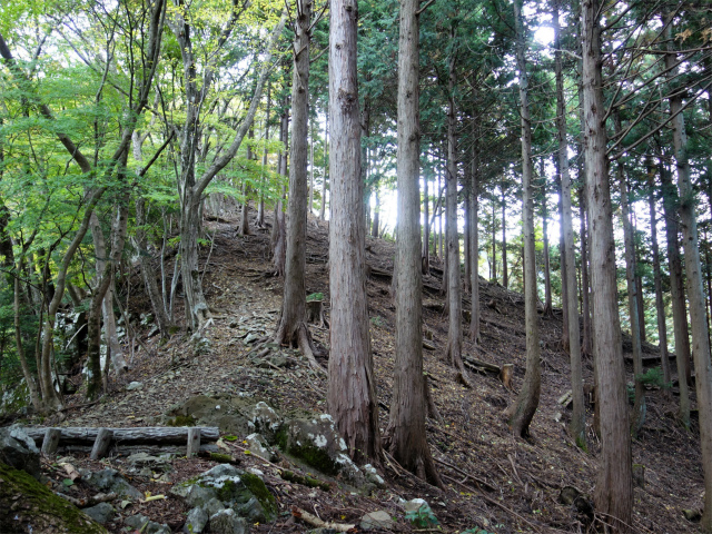 蛭ヶ岳（日陰沢橋～姫次）登山口コースガイド 731mの尾根の肩【登山口ナビ】