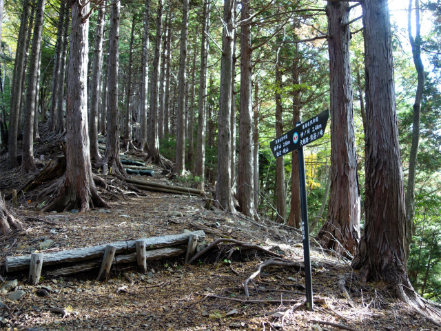 蛭ヶ岳（日陰沢橋～姫次）登山口コースガイド 指導標【登山口ナビ】