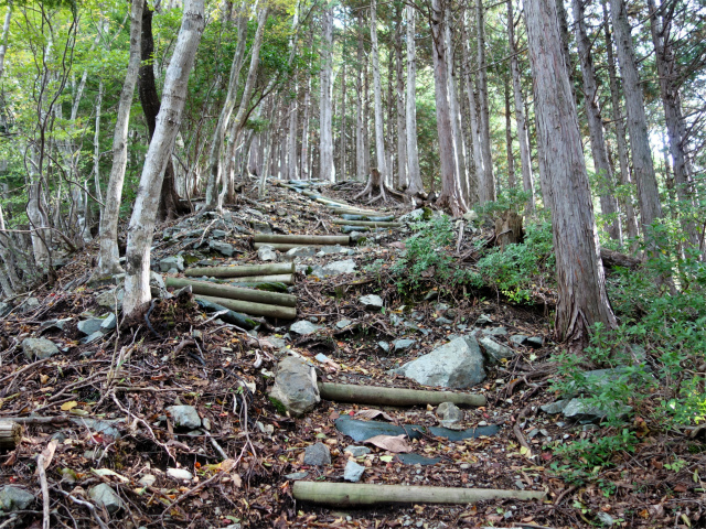 蛭ヶ岳（日陰沢橋～姫次）登山口コースガイド 急坂【登山口ナビ】