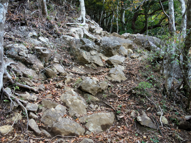 蛭ヶ岳（日陰沢橋～姫次）登山口コースガイド 鞍部からの急登【登山口ナビ】