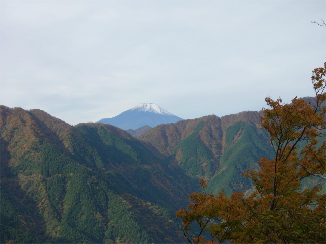 蛭ヶ岳（日陰沢橋～姫次）登山口コースガイド 富士山【登山口ナビ】
