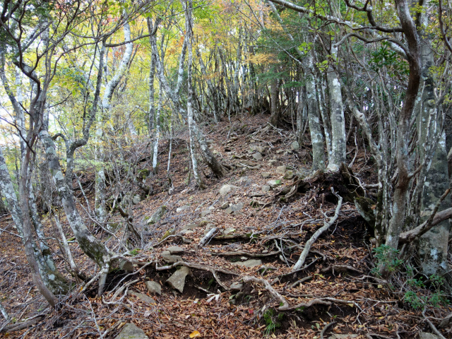 蛭ヶ岳（日陰沢橋～姫次）登山口コースガイド【登山口ナビ】