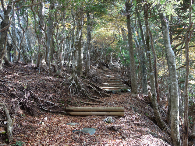 蛭ヶ岳（日陰沢橋～姫次）登山口コースガイド 階段【登山口ナビ】