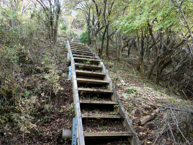 蛭ヶ岳（日陰沢橋～姫次）登山口コースガイド 階段【登山口ナビ】