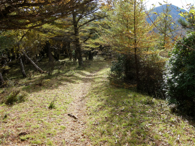 蛭ヶ岳（日陰沢橋～姫次）登山口コースガイド アップダウン【登山口ナビ】