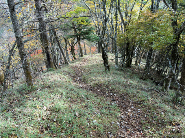 蛭ヶ岳（日陰沢橋～姫次）登山口コースガイド アップダウン【登山口ナビ】
