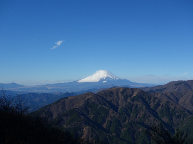 大山（不動尻～唐沢峠）登山口コースガイド 富士見台からの富士山の眺望【登山口ナビ】