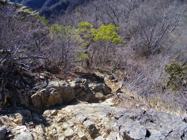 三ツ峠山（本社ヶ丸～清八山） 露岩の展望台からの下り【登山口コースガイド】
