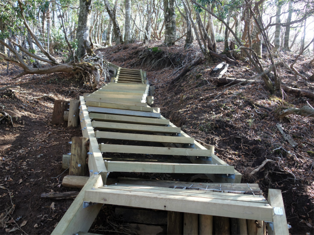 蛭ヶ岳(八丁坂ノ頭~姫次)登山口コースガイド 階段【登山口ナビ】
