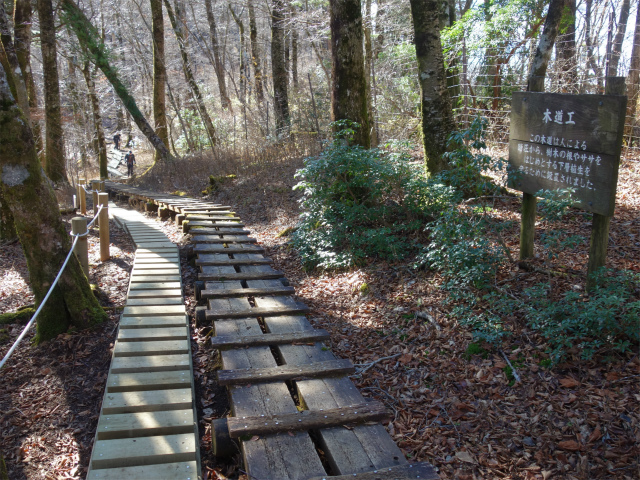 蛭ヶ岳(八丁坂ノ頭~姫次)登山口コースガイド 木道【登山口ナビ】