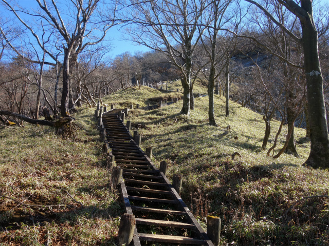 蛭ヶ岳(八丁坂ノ頭~姫次)登山口コースガイド 急階段【登山口ナビ】