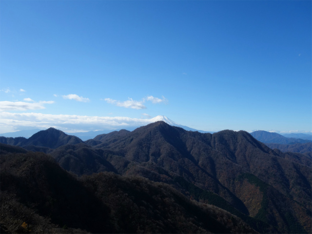 蛭ヶ岳(榛ノ木丸~姫次)コースガイド 大室山と檜洞丸【登山口ナビ】