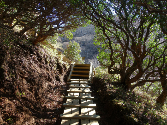 蛭ヶ岳(榛ノ木丸~姫次)コースガイド【登山口ナビ】