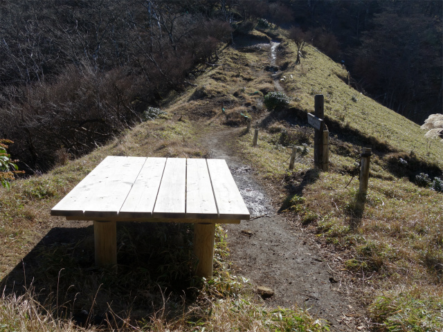 蛭ヶ岳(八丁坂ノ頭~姫次)コースガイド ベンチ【登山口ナビ】