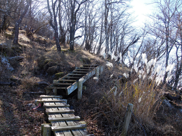 蛭ヶ岳(日陰沢橋~姫次)コースガイド 階段【登山口ナビ】