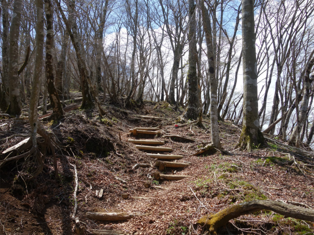 丹沢山（宮ケ瀬～丹沢三峰）登山口コースガイド【登山口ナビ】