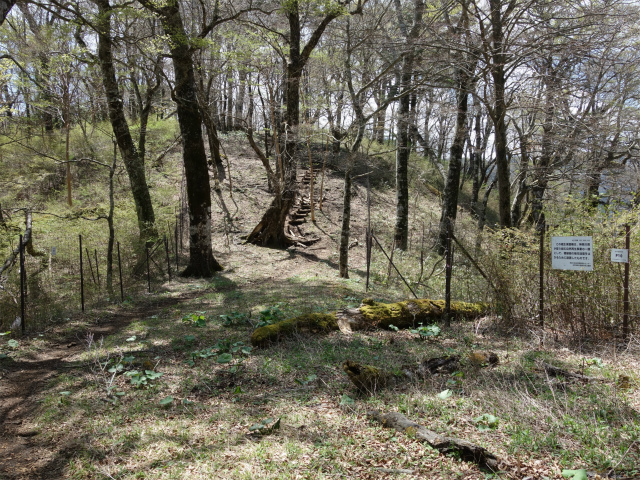 丹沢山（宮ケ瀬～丹沢三峰）登山口コースガイド 植生保護柵【登山口ナビ】