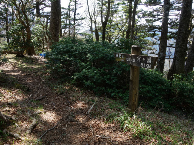 丹沢山（宮ケ瀬～丹沢三峰）登山口コースガイド 太礼ノ頭山頂【登山口ナビ】