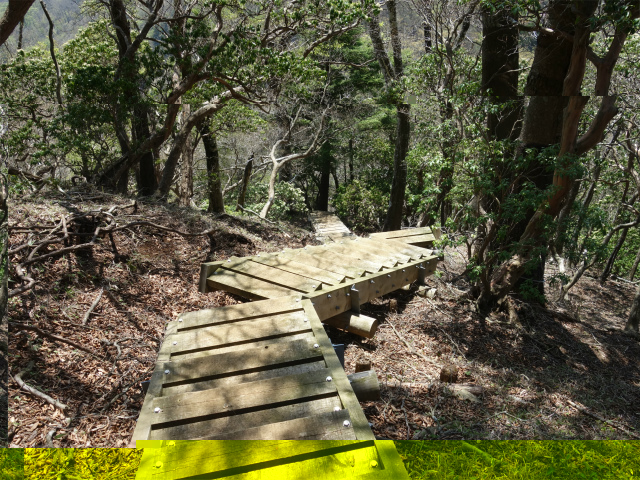 丹沢山（宮ケ瀬～丹沢三峰）登山口コースガイド 円山木ノ頭から階段の下り【登山口ナビ】