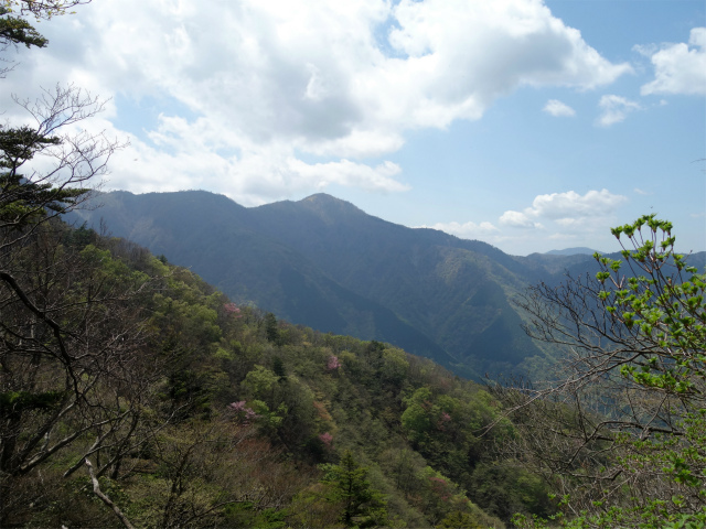 丹沢山（宮ケ瀬～丹沢三峰）登山口コースガイド 無名ノ頭付近からの蛭ヶ岳【登山口ナビ】