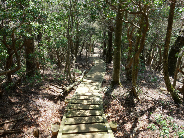 丹沢山（宮ケ瀬～丹沢三峰）登山口コースガイド 無名ノ頭の階段の下り【登山口ナビ】