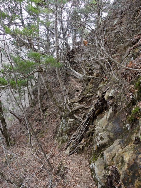 曲岳・黒富士（観音峠大野山林道コース）登山口コースガイド めまい岩のロープ【登山口ナビ】