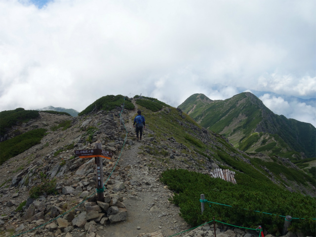 仙丈ヶ岳（北沢峠～小仙丈尾根）登山口コースガイド 仙塩尾根分岐【登山口ナビ】