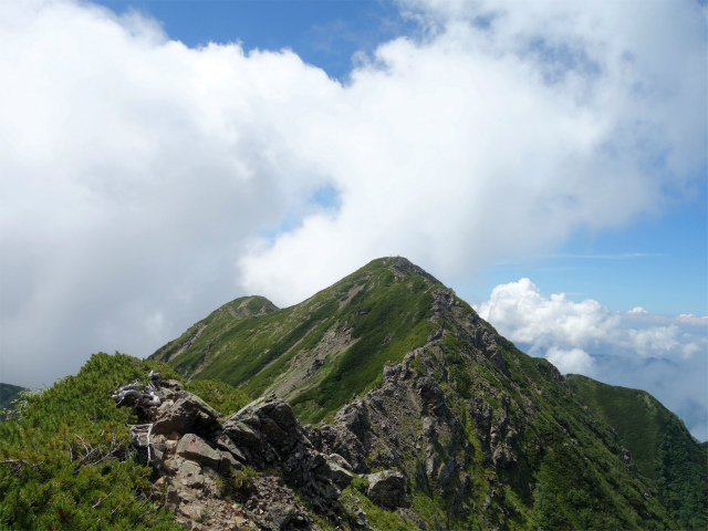 仙丈ヶ岳（北沢峠～小仙丈尾根）登山口コースガイド 岩稜【登山口ナビ】