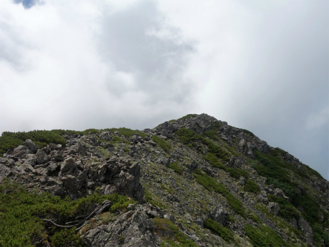 仙丈ヶ岳（北沢峠～小仙丈尾根）登山口コースガイド【登山口ナビ】