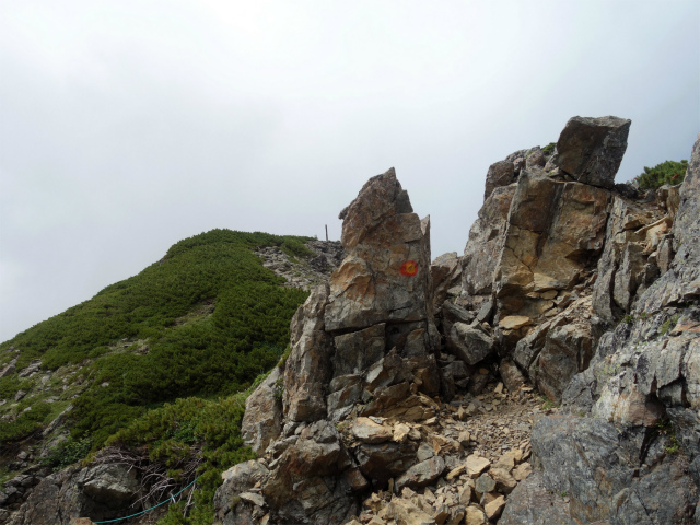 仙丈ヶ岳（北沢峠～小仙丈尾根）登山口コースガイド 山頂手前の岩【登山口ナビ】