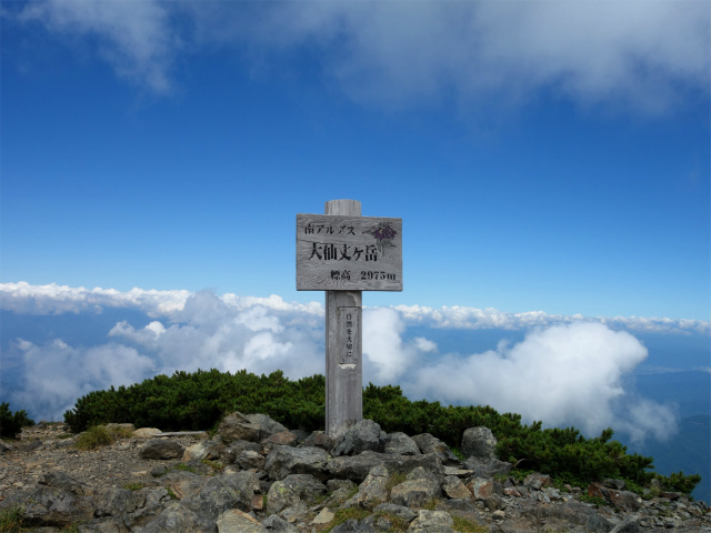 仙丈ヶ岳（北沢峠～小仙丈尾根）登山口コースガイド 大仙丈ヶ岳山頂【登山口ナビ】