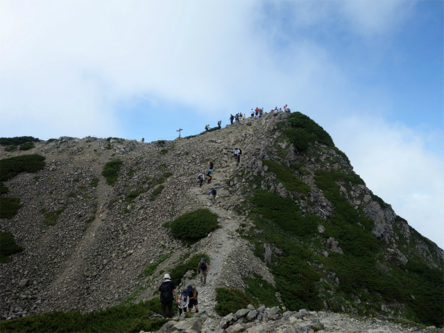 仙丈ヶ岳（北沢峠～小仙丈尾根）登山口コースガイド 山頂直下【登山口ナビ】