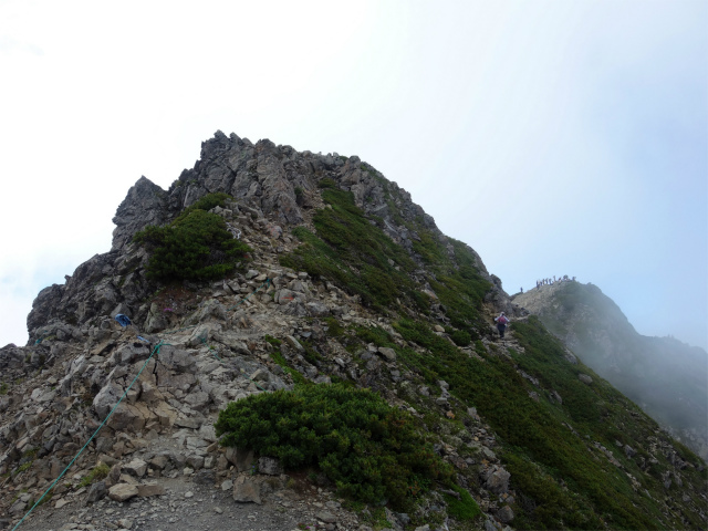 仙丈ヶ岳（北沢峠～小仙丈尾根）登山口コースガイド 岩稜のトラバース【登山口ナビ】