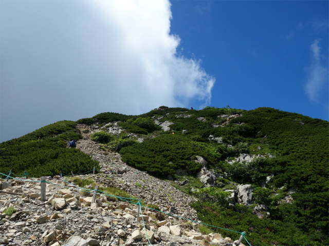 仙丈ヶ岳（北沢峠～小仙丈尾根）登山口コースガイド 急登【登山口ナビ】