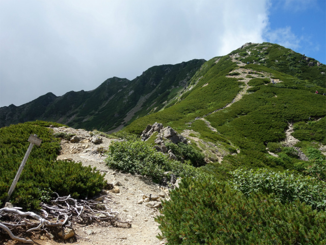 仙丈ヶ岳（北沢峠～小仙丈尾根）登山口コースガイド 八合目【登山口ナビ】