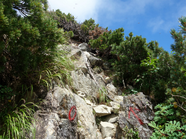 仙丈ヶ岳（北沢峠～小仙丈尾根）登山口コースガイド 2864mピークの鎖場【登山口ナビ】