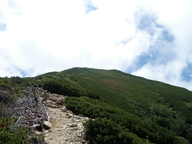 仙丈ヶ岳（北沢峠～小仙丈尾根）登山口コースガイド 稜線【登山口ナビ】