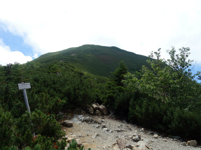 仙丈ヶ岳（北沢峠～小仙丈尾根）登山口コースガイド 六合目【登山口ナビ】