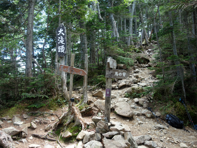 仙丈ヶ岳（北沢峠～小仙丈尾根）登山口コースガイド 五合目大滝ノ頭分岐【登山口ナビ】